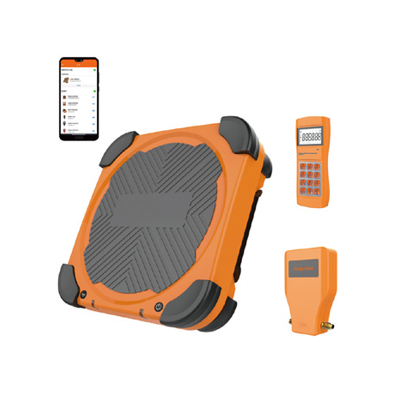 LMC-310 digitale elektronische weegschaal