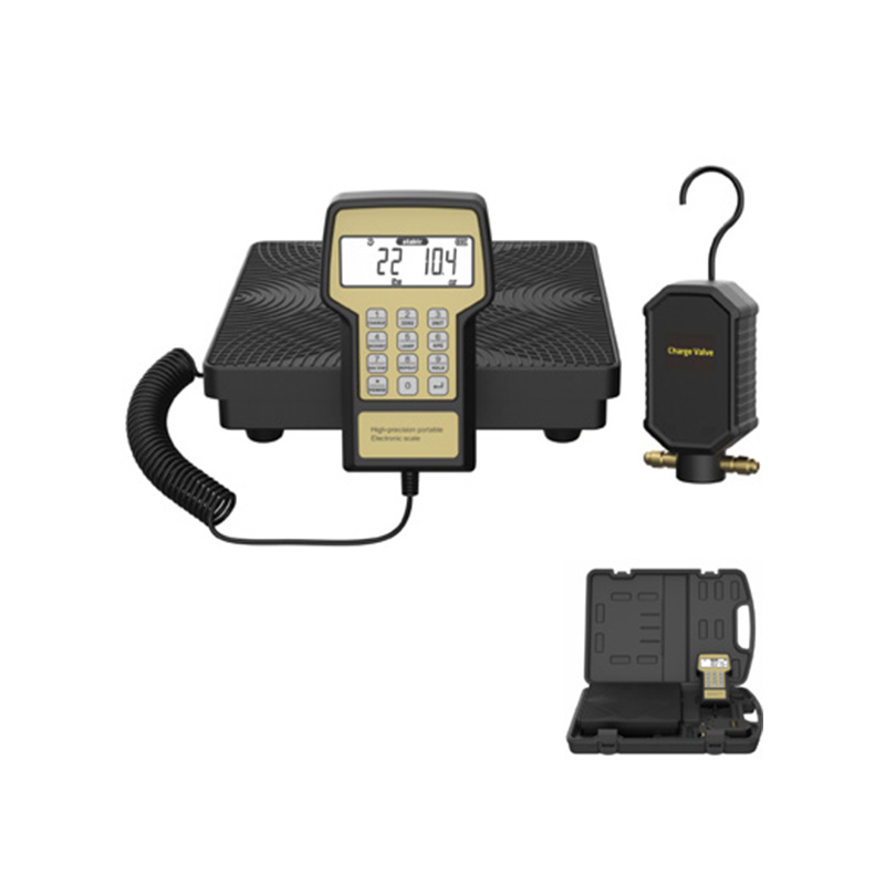 RCS-220V Digitale elektronische weegschaal